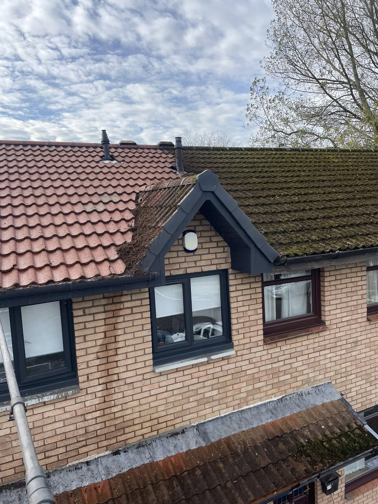 EdiClean Exterior Cleaning gallery photo 7